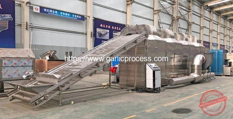Gas-Heating-Multi-Layer-Belt-Ginger-Slice-Dryer-Machine
